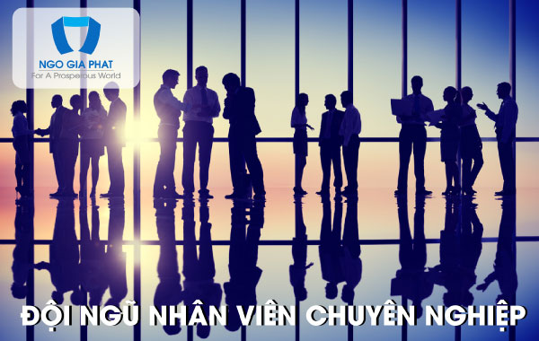 Đội ngũ nhân viên chuyên nghiệp